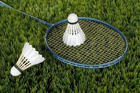TOP 10 BEST Badminton in Toronto, ON .